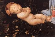 LIPPI, Filippino Portrait of an Old Man gs Sweden oil painting artist